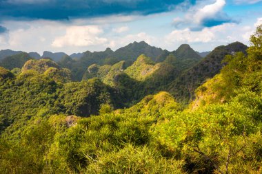 Vietnam 'daki Cat Ba adası. Tropikal yağmur ormanlı yeşil dağlar