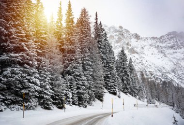 İtalya 'daki Dolomite dağlarında ormanların arasında kış yolu