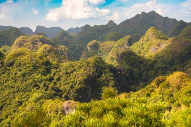 Vietnam 'daki Cat Ba adası. Tropikal yağmur ormanlı yeşil dağlar