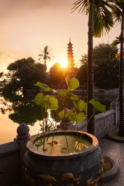 Hanoi şehrinde günbatımında Tran quoc pagoda, Vietnam