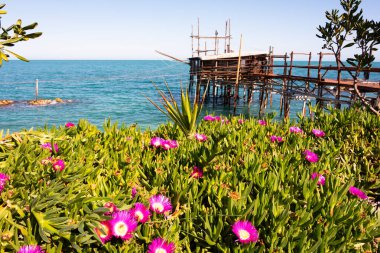 Deniz kıyısında ağlı bir balıkçı evi.