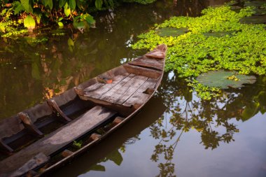 Yeşil bitkilerle dolu bir gölette eski ahşap kayık.