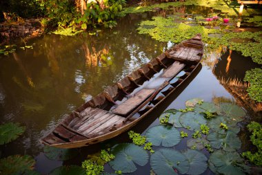 Yeşil bitkilerle dolu bir gölette eski ahşap kayık.