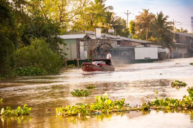 Vietnam 'da Mekong nehri manzarası, kıyı evleri.