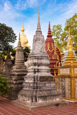 Phnom Penh, Kamboçya 'daki zengin süslü Budist tapınak binası