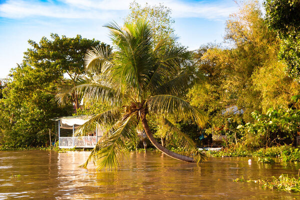 Mekong river landcape in Vietnam, coastal houses