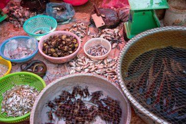 Kamboçya 'da yerel pazarda balık