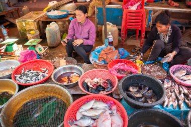 Kamboçya 'da yerel pazarda balık