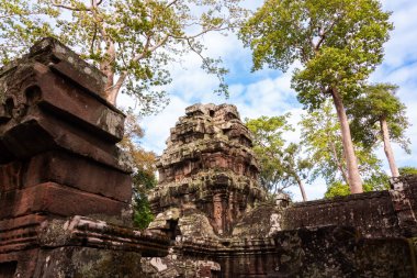 Angkor Thom, Kamboçya ormanında ağaçların büyüdüğü antik tapınak kalıntıları.