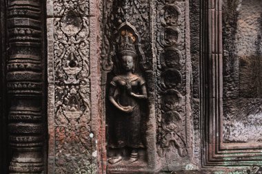 Angkor Thom, Kamboçya ormanında ağaçların büyüdüğü antik tapınak kalıntıları.