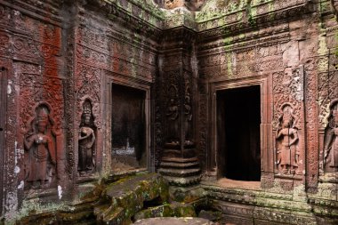 Angkor Thom, Kamboçya ormanında ağaçların büyüdüğü antik tapınak kalıntıları.