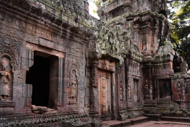 Angkor Thom, Kamboçya ormanında ağaçların büyüdüğü antik tapınak kalıntıları.