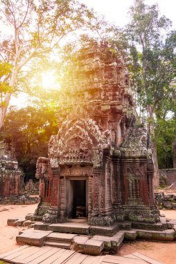 Angkor Thom, Kamboçya ormanında ağaçların büyüdüğü antik tapınak kalıntıları.