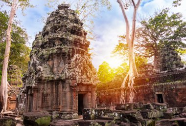 Angkor Thom, Kamboçya ormanında ağaçların büyüdüğü antik tapınak kalıntıları.