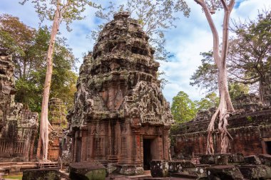 Angkor Thom, Kamboçya ormanında ağaçların büyüdüğü antik tapınak kalıntıları.