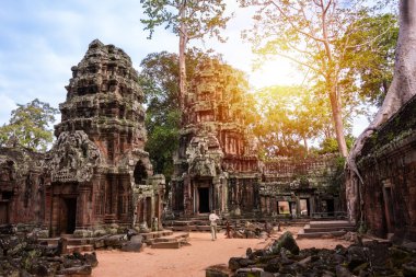 Angkor Thom, Kamboçya ormanında ağaçların büyüdüğü antik tapınak kalıntıları.