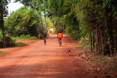 Kamboçya 'da kırsal, asfaltsız kırmızı kum yolu