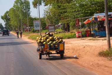 Kamboçya 'da kırsal yol