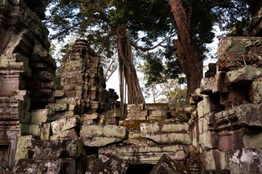 Angkor Thom, Kamboçya ormanında ağaçların büyüdüğü antik tapınak kalıntıları.