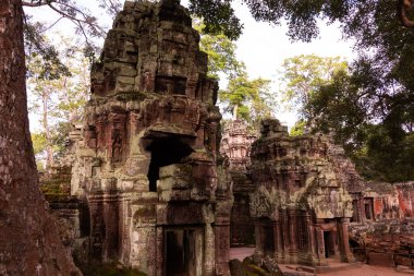 Angkor Thom, Kamboçya ormanında ağaçların büyüdüğü antik tapınak kalıntıları.