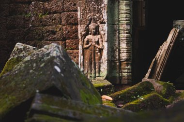 Angkor Thom, Kamboçya ormanında ağaçların büyüdüğü antik tapınak kalıntıları.