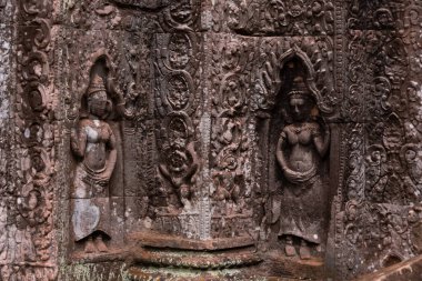 Angkor Thom, Kamboçya ormanında ağaçların büyüdüğü antik tapınak kalıntıları.