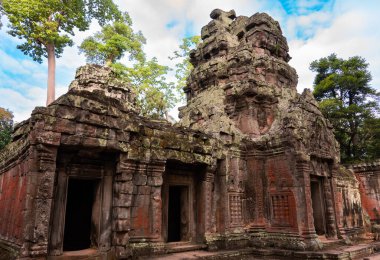 Angkor Thom, Kamboçya ormanında ağaçların büyüdüğü antik tapınak kalıntıları.