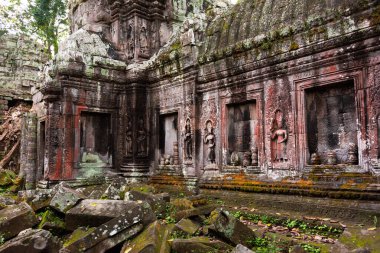 Angkor Thom, Kamboçya ormanında ağaçların büyüdüğü antik tapınak kalıntıları.