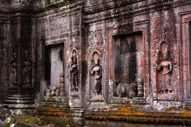 Angkor Thom, Kamboçya ormanında ağaçların büyüdüğü antik tapınak kalıntıları.
