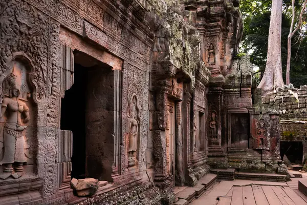Angkor Thom, Kamboçya ormanında ağaçların büyüdüğü antik tapınak kalıntıları.