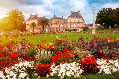 Paris, Fransa 'nın panoramik manzarası.