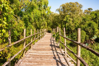 Vietnam 'daki ahşap köprü Yeşil bitkiler arasında