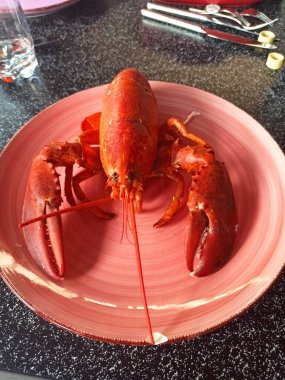 Big and red lobster on a plate. Exquisite and delicious dish. clipart