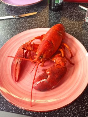 Tabakta büyük ve kırmızı bir ıstakoz. Nefis ve lezzetli yemekler..