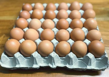 Karton yumurta tepsisinde kahverengi tavuk yumurtaları ve beyaz arka planda izole edilmiş otuz yumurta için odalar..