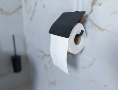 roll of toilet paper in holder on tiled wall. clipart