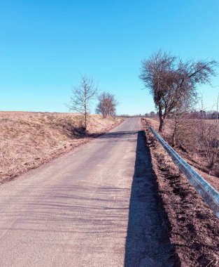 Sabah sisi olan boş bir kırsal yol.
