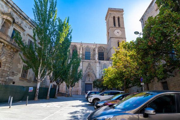 View of La Basilica de la Seu from a street in sunlight and blue sky. You can see various trees and parked cars on the right-hand side