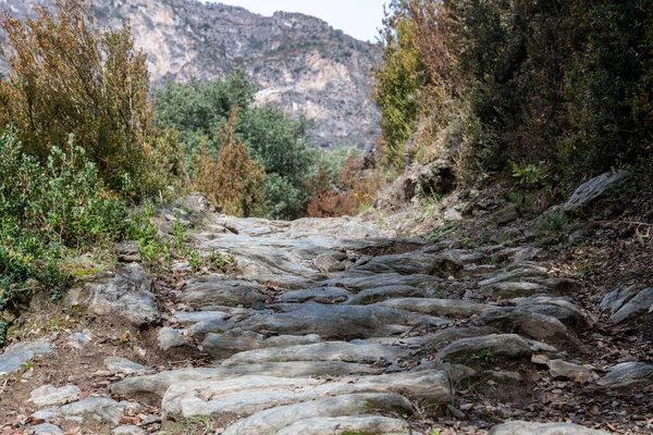 A hiking trail made of rough stone, which has developed naturally and is not very flat. There are trees and bushes to the left and right of the path