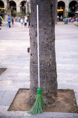 Ağaca yaslanmış bir süpürge. Süpürgenin yeşil tüyleri ve metal bir sapı var. Eski tarz, ama modern malzemeler. Arka planda büyük bir kare görülebilir..