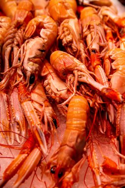 Bir yığın taze kırmızı karides. Satmaya ya da hazırlanmaya hazır..