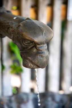 Metal hayvan kafası şeklindeki bir çeşmenin su çıkışı. Ağzından küçük bir su fışkırıyor..