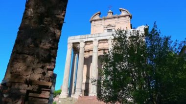 Rom - Latium - İtalya - 11-23-2022: Roma 'daki Roma Forumu' nda San Lorenzo Kilisesi, ön planda bir ağaçla mavi bir gökyüzünün altından çekildi.
