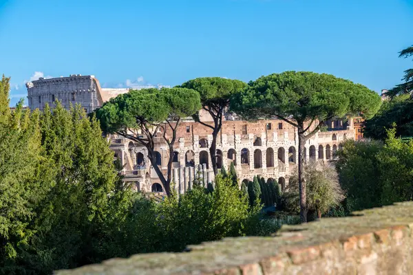 Roma, Latium - İtalya - 11-23-2022: Palatine Hill 'den Colosseum cephesine görüntü. Üç uzun çam ağacı ve diğer ağaçların arasından bak. Foro Romano 'daki bazı sütunlar görülebilir..