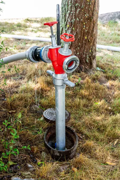 Bir itfaiye musluğu çimenli bir alanın ortasında duruyor, doğal çevreyle çelişiyor.