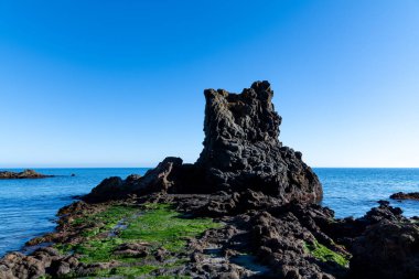 Cabo de Gata, Almeria - İspanya - 01-23-2024: Cabo de Gata 'da deniz yosunlarıyla kaplı kayalar ve sakin denizlerle görkemli volkanik kaya oluşumu