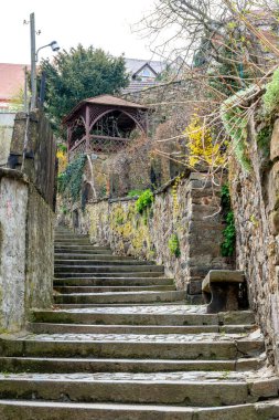 Bautzen, Saksonya - Almanya - 04-10-2021: Yaşlanmış taş basamaklar Bautzen 'de sonbahar yeşillikleri arasında gizli bir çardağa doğru yükseliyor.