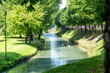 Treviso, Venetien - İtalya - 06-13-2021: Treviso, İtalya 'da yemyeşil ağaçlarla çevrili ve beyaz ördeklerin yüzdüğü sakin, güneşli bir nehrin yanındaki yürüyüş yolu