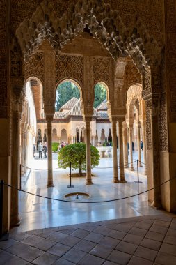 Granada, Granada - İspanya - 01-30-2024: Sığ çeşmeli zarif kemerler Alhambra Nasrid Sarayı 'ndaki ünlü Aslanlar Divanı çerçevesi