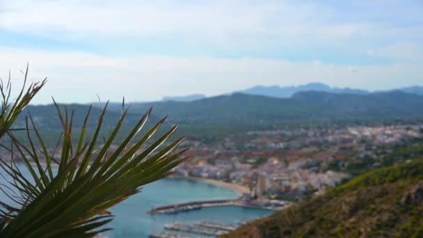 以棕榈枝为前景色 蓝天下 阳光普照的西班牙萨比亚模糊的城市景象 完美的标题和文字 — 图库视频影像